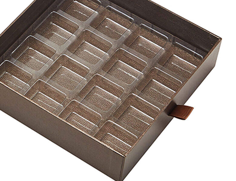 PET Blister Insert