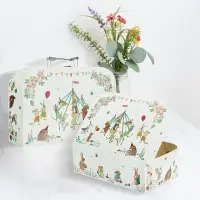 Decorative Suitcase Storage Boxes – Sustainable Style Meets Market Growth