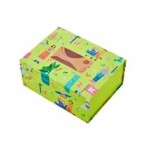 Custom Magnetic Flip Shoe Box | Luxury Hardbox Magnet Packaging | GPLPak