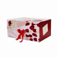 Custom Printing Luxury Magnetic Ribbon Rigid Paper Folding Box
